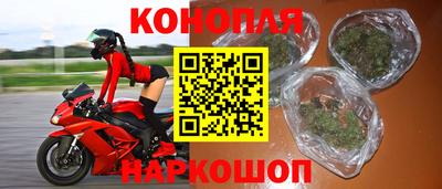 прущие крисы Славгород